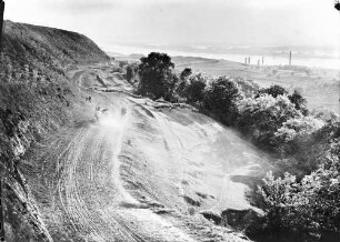 Lom: Donaulandschaft, Weg bei Lom [mit Ochsenfuhrwerk vor Schafherde]