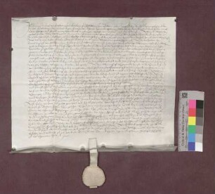 Hans Christoph von Falkenstein übernimmt von Abt Diethelm von St. Gallen das Schloß Schneeburg nebst dem Bauhof sowie die Vogtei zu Ebringen, Talhausen und Burghausen etc. als Lehen.