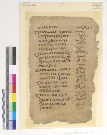 1st Section