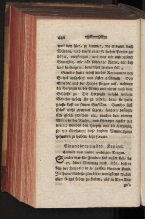 Einunddreyzigstes Kapitel. Handelt von vielen wichtigen Dingen