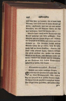 Einunddreyzigstes Kapitel. Handelt von vielen wichtigen Dingen