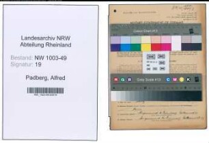 Entnazifizierung Alfred Padberg , geb. 08.11.1902 (Prokurist)
