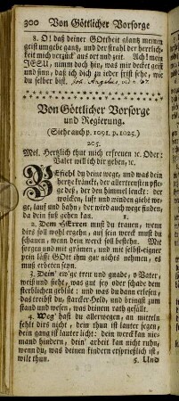 (XX.) Von Göttlicher Vorsorge und Regierung.