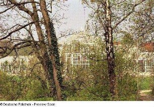 Palmenhaus