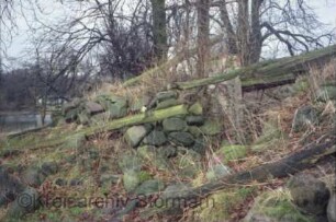 Gut Jersbek: Eiskeller: Teilansicht: Ruine