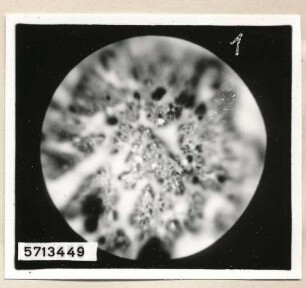 Mikroaufnahme Hochstrom-Kathode, Bild 15; Foto, 1957
