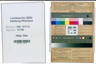 Entnazifizierung Max Welp , geb. 24.11.1891 (Angestellter)