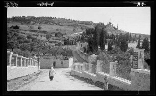 Jerusalem (Bez. Jerusalem, Israel), Gethsemane