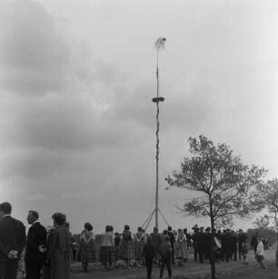 Maibaumwerfen 1966 in Spohla : Mejemjetanje 1966 w Spalach : Spohla / Spale
