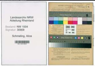 Entnazifizierung Alice Schmeling , geb. 04.09.1894 ()