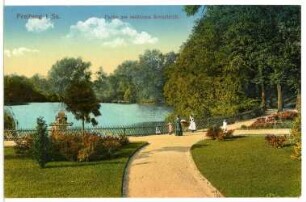 Freiberg. Partie am mittleren Kreuzteich