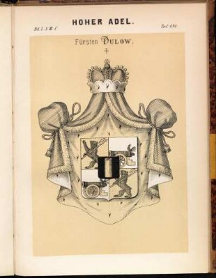 Taf. 134. Fürsten Dulow.