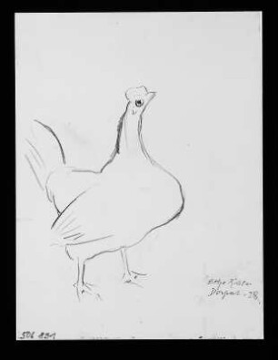 Huhn : Huhn. Kohlezeichnung (1928; E. Richter)
