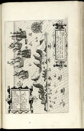 Vera effigies ... Insulae Ascenstio ... - Warhaftige Conterfactur ... der Insel Ascension ...