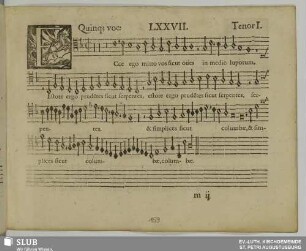 LXXVII. Ecce ego mitto vos