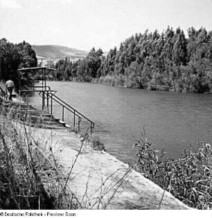 Abfluß des Jordan in den See Genezareth südlich von Tiberias