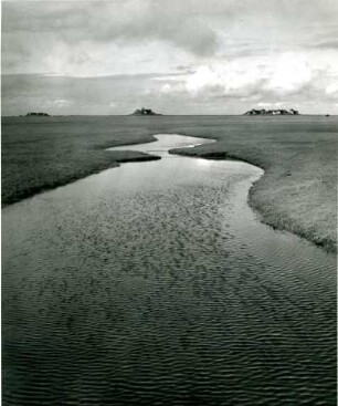 Warften mit Hallig-Höfen im Wattenmeer, Norddeutsche Küste