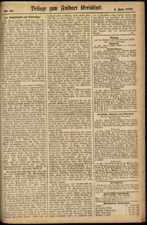 Zweite Ausgabe vom Samstag, den 09. Juni 1883.