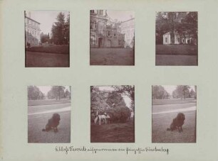 links oben: Brunnen vor dem Schloss Favorite Mitte oben: Partie von Schloss Favorite rechts oben: Wachhäuschen von Schloss Favorite links unten: Pudel der Großherzogin Luise im Park von Schloss Favorite Mitte unten: Heufuhrwerk im Park von Schloss Favorite rechts unten: Pudel der Großherzogin Luise im Park von Schloss Favorite