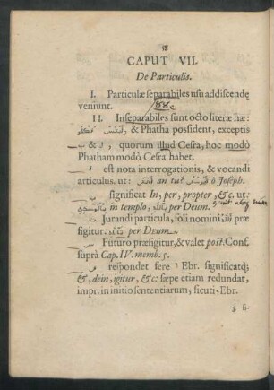 Caput VII. De Particulis.