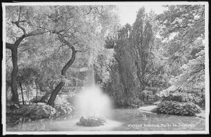 Karlsbad. Partie im Stadtpark
