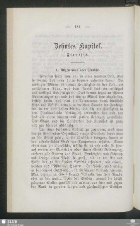 Zehntes Kapitel. Firnisse