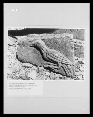 Baufragment mit dem Relief eines Vogels