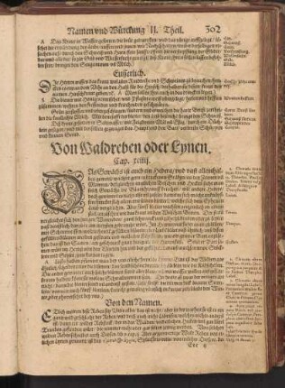 Von Waldreben oder Lynen, Cap. XCIIII
