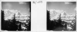 Im Berner Oberland