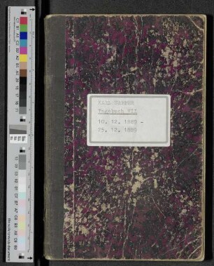[Tagebuch VII]