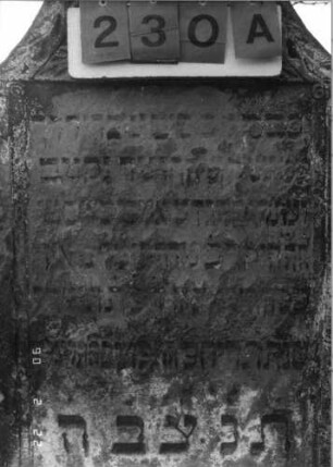 Grabstein 230 (Index: 100116016) Material: Sandstein Zustand: verwittert mit fast völligem Textverlust Maße HxBxT: 149x68x13 cm Beschreibung: Stele mit konkav eingezogenem Segmentbogenabschluß, eingetieftes Schriftfeld Symbolik: Krone, Ranken: Grabstein 230A