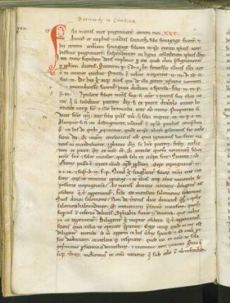 Sermo 29-39 super Cantica canticorum