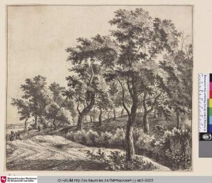 [Ein Bach entlang einer kurvigen Straße; The small river]