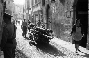 Malcesine: Gardasee, Wagen ohne Räder, fahrend [Holzfuhrwerk]