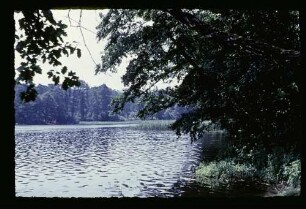 Am Schlachtensee 21.6.53.