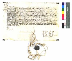 Päpstlich approbierte Eidesformel des neuen Propstes des Wengenstfts zu Ulm, Augustinus Erath.