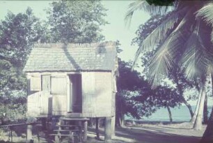 Reisefotos. Hölzerne Pfahlhütte mit Palme (vielleicht auf Haiti). Blick zum Meer