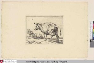 [Urinierende Kuh vor zwei Schafen; The Pissing Cow]
