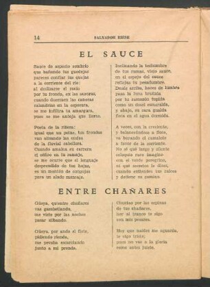 El sauce
