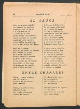 El sauce