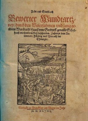 Feldt und Stattbuch Bewerter Wundtartzney