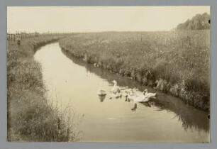 An der Parthe hinter Zweenfurth