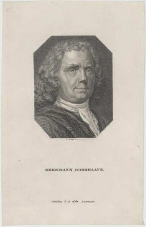 Bildnis des Herrmann Boerhave