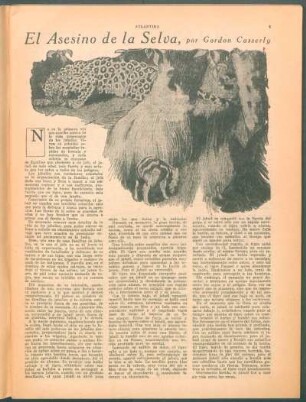 El asesino de la selva