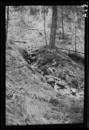 Domnetal (=Tal des Râul Doamnei, Fluss in Rumänien): schmales, trockenes Bett eines Gebirgsbaches
