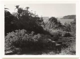 Garten von Bauer, Rhode: Treppe mit Beetmauern