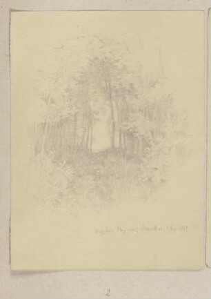 Waldweg bei Bremthal