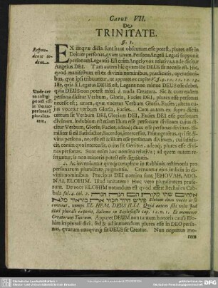 Caput VII. De Trinitate
