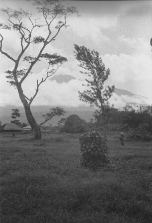 Mount Meru von Arusha aus : Landschaft von Arusha. Im Hintergrund Mount Meru