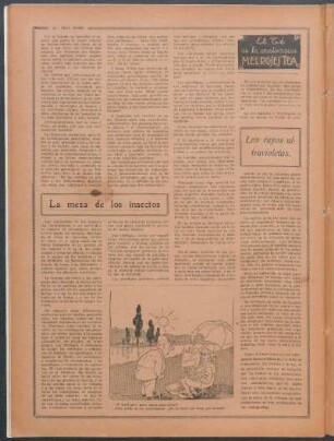 La mesa de los insectos